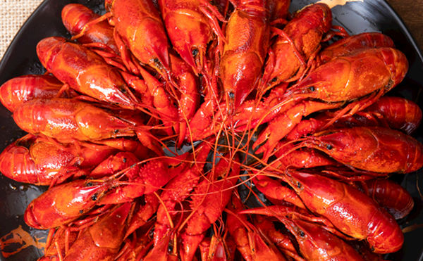 鹵水小龍蝦的秘制作方法