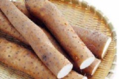 家常小炒山藥是不是淮山