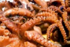 章魚(yú)的做法大全