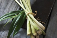 鹵菜香料之香茅草的用法和作用