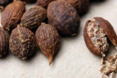 細(xì)聊料性草果是用皮還是用籽讓使用更為靈動(dòng)