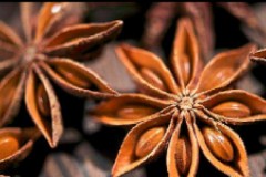 鹵肉香料四大金剛在家自己也可以做出的美味