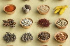 鹵菜常用藥材大全