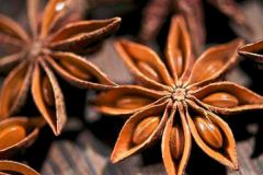 28種鹵料配料有哪些