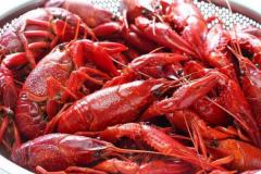鹵水龍蝦的做法