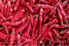 “辣、紅、香”的紅油配方