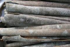 肉桂與桂皮的區別是什么？