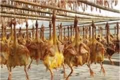 風干雞制作技術