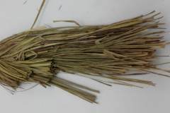 香茅草在鹵牛肉中的重要作用