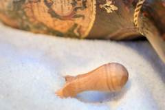 鹽度的掌握鹵菜技術的核心之一