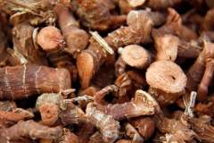 高良姜是南姜還是紅蔻是南姜的果實(shí)？