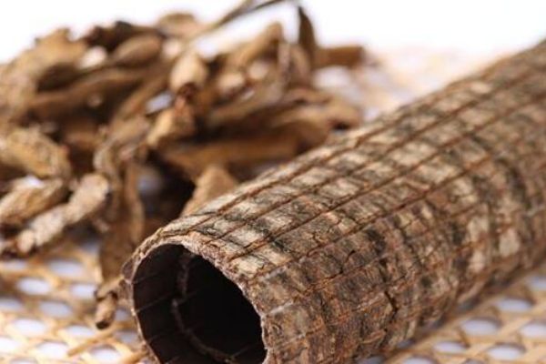 杜仲在鹵水作用