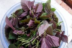 做魚(yú)用什么香料