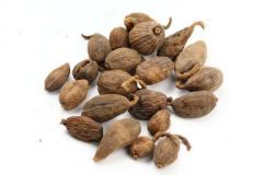 草果和草豆蔻區別介紹