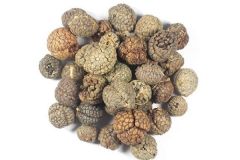 草豆蔻、肉豆蔻、白豆蔻都有哪些區別？