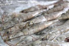 生鹵青蝦的做法