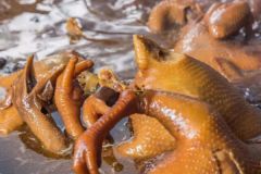 正宗廣東鹵雞的做法