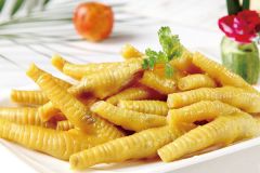 正宗嘉州鹽焗雞培訓大全