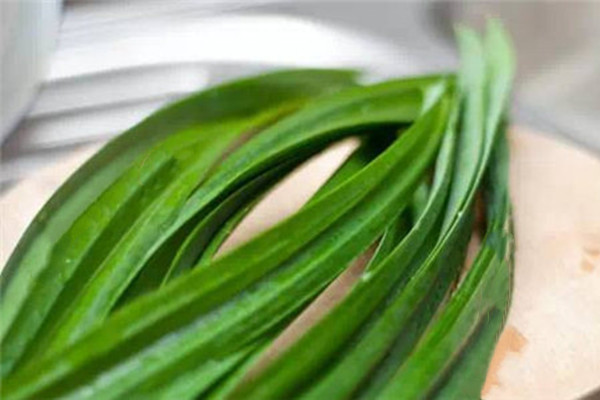 東南亞香料香蘭葉